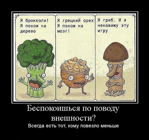  (509x480, 61Kb)