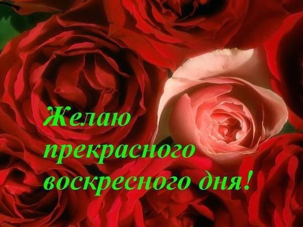47848019_ppppppppppp_ppp_pp_pppppp (600x450, 43 Kb)