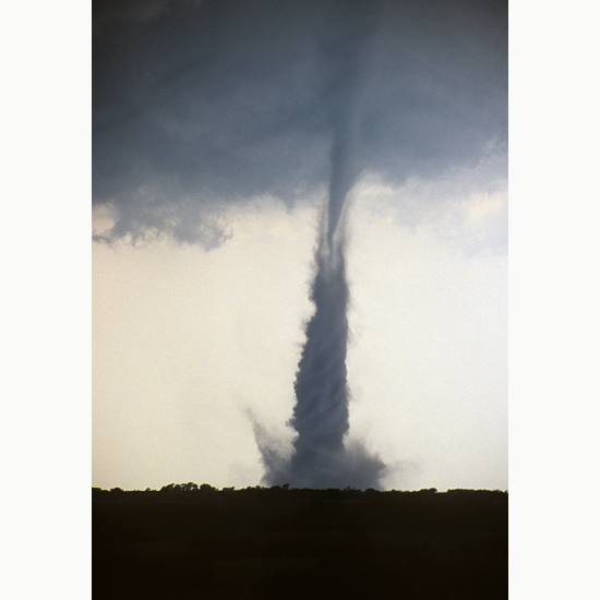      (Roger Coulam)
