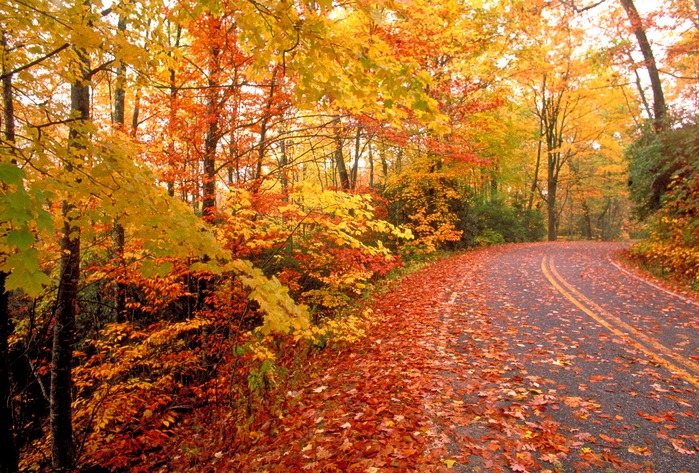 fall-road (699x473, 212 Kb)