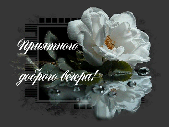  (540x405, 169Kb)