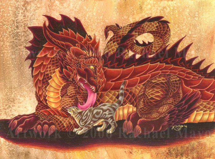 1227873364_dragon_and_fluffykins_finis_by_rachaelm5 (699x515, 112 Kb)