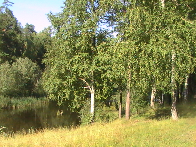  (640x480, 207Kb)