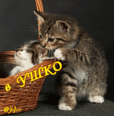  (400x405, 202Kb)