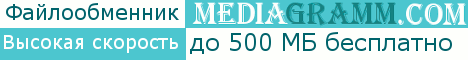 www.mediagramm.com