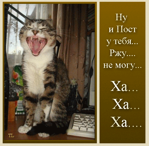 64328676_smeyotsya_ (500x490, 127 Kb)