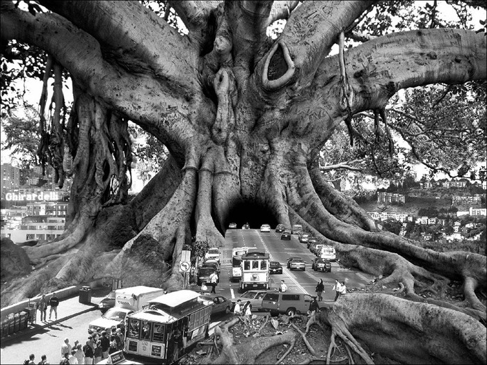 ???Thomas Barbey 3