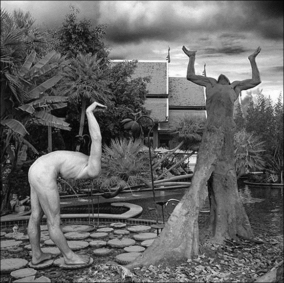 ???Thomas Barbey 44