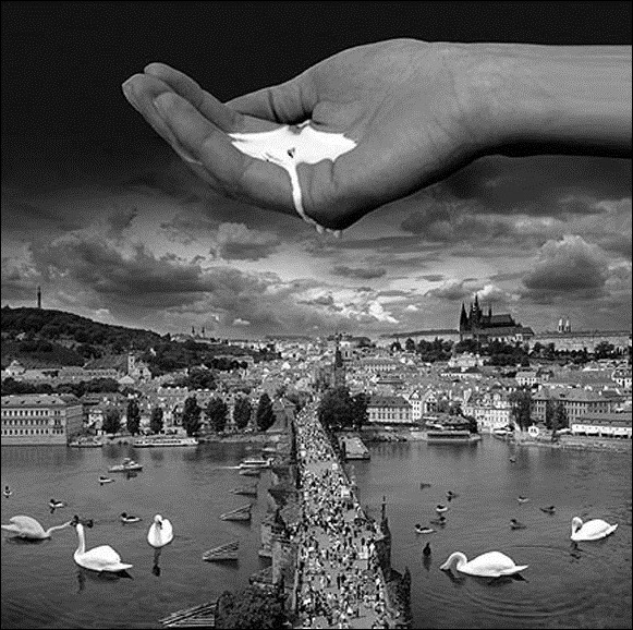 ???Thomas Barbey 45