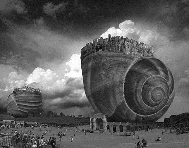 ???Thomas Barbey 52