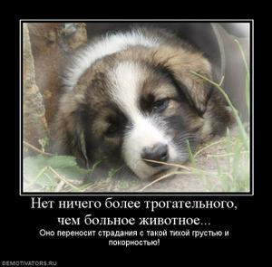  (300x295, 15Kb)