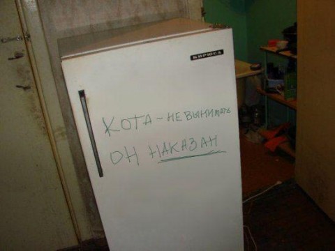 (480x360, 28Kb)