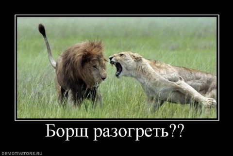  (480x322, 35Kb)