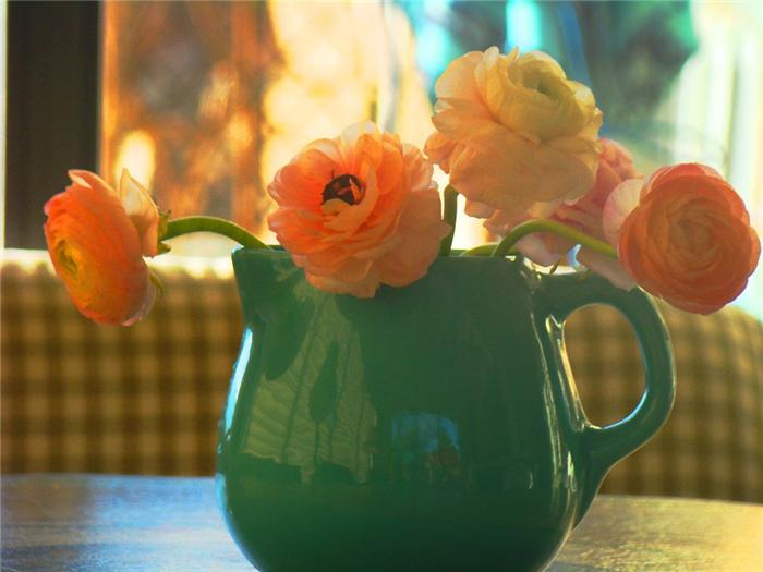 http://img0.liveinternet.ru/images/attach/c/2//65/351/65351604_1287174805_b5b844182ab2t.jpg