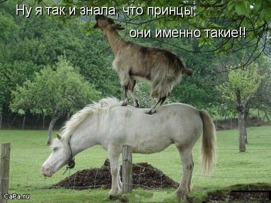  (541x405, 69Kb)