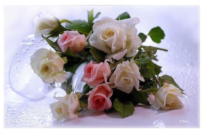 http://img0.liveinternet.ru/images/attach/c/2//65/584/65584276_1287663388_3a38cddf.jpg