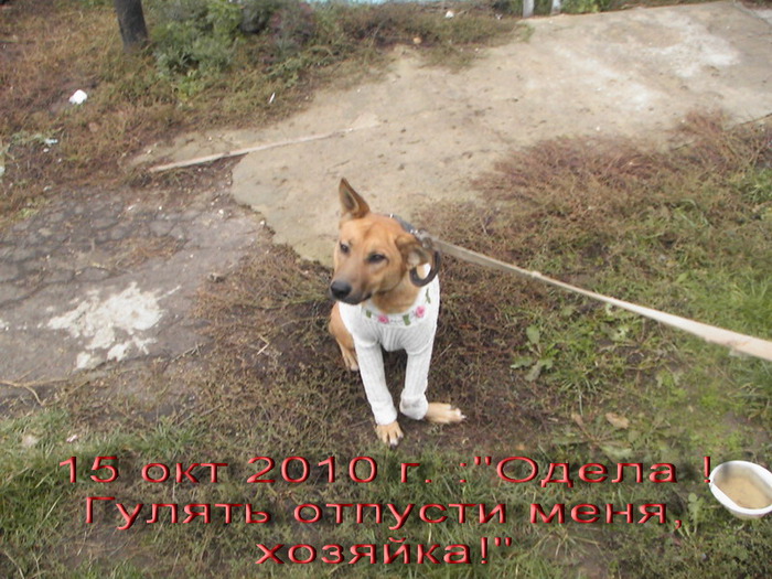  (700x525, 148Kb)