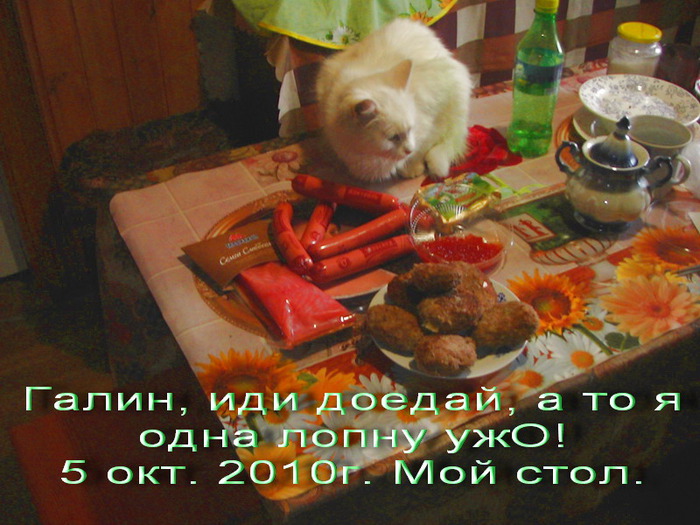  (700x525, 126Kb)