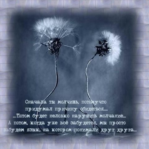  (480x480, 42Kb)