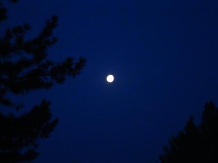 DSC01681 (448x336, 22 Kb)