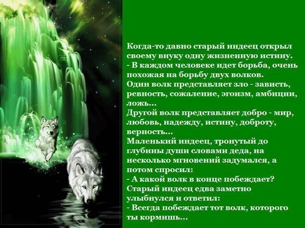 http://img0.liveinternet.ru/images/attach/c/2//65/746/65746068_1287998903_Pritcha_o_dushe_i_dvuh_volkah.jpg