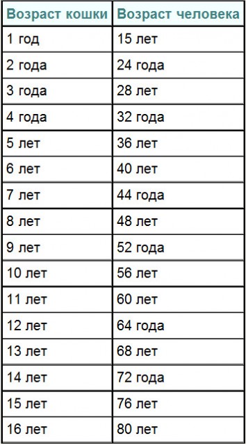 Таблица соответствия возраста собаки/кошки и человека. Обсуждение на LiveInternet - Российский Сервис Онлайн-Дневников