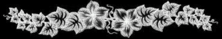  (450x80, 50Kb)