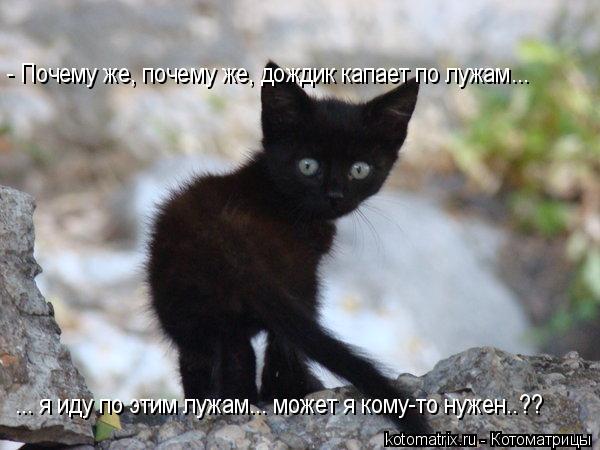 Отражение авто в луже. Смотреть фото Отражение авто в луже. Смотреть картинку Отражение авто в луже. Картинка про Отражение авто в луже. Фото Отражение авто в луже