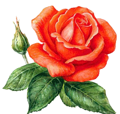 22150657 (240x229, 104 Kb)