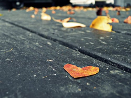  (500x375, 41Kb)