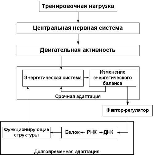  (500x503, 37Kb)