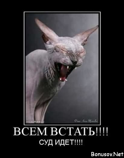  (410x524, 18Kb)