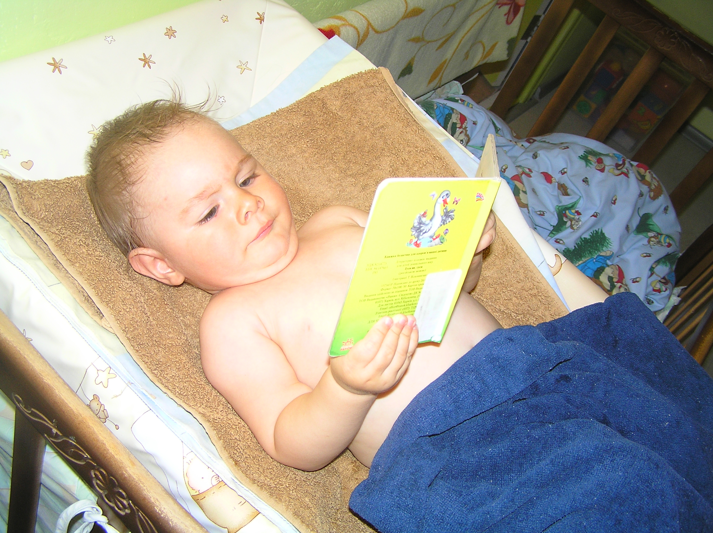 PB030005 (2288x1712, 2306 Kb)