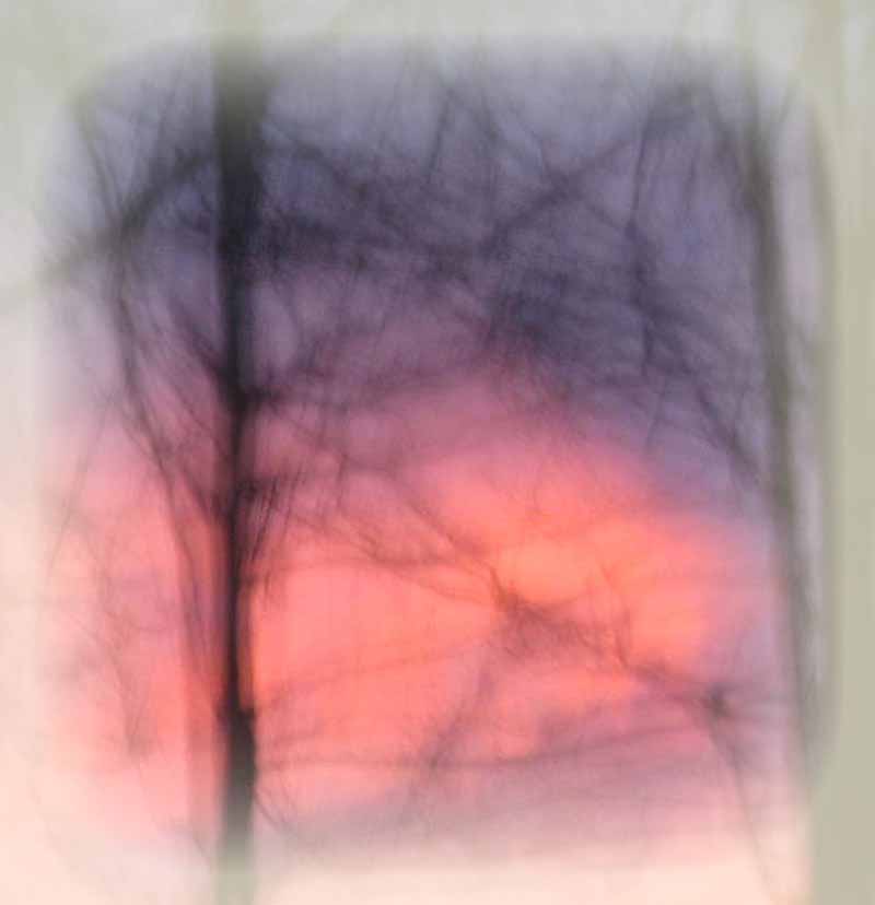1 (800x828, 39 Kb)