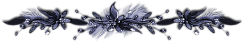  (160x60, 41Kb)
