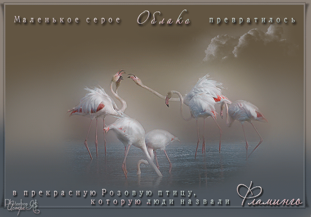 �������� (640x448, 332 Kb)