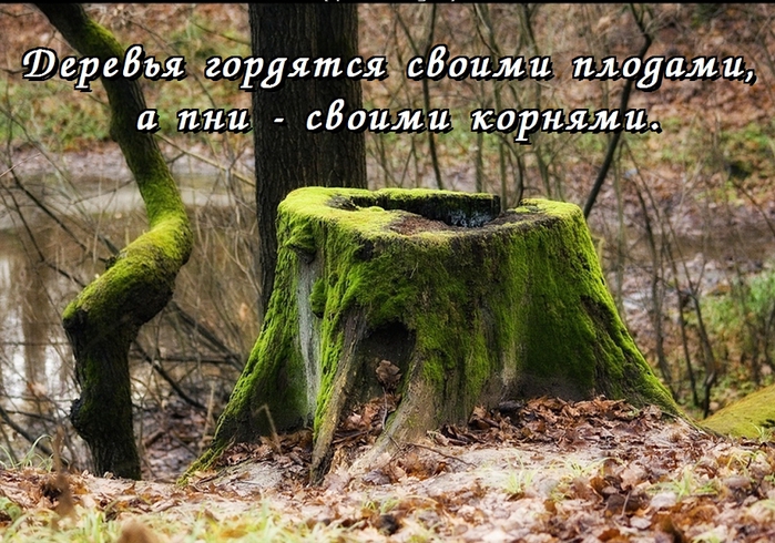  (699x490, 344Kb)