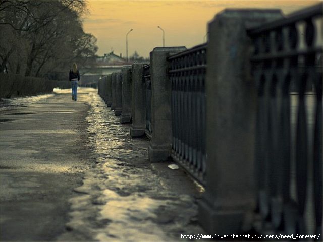  (640x480, 41Kb)
