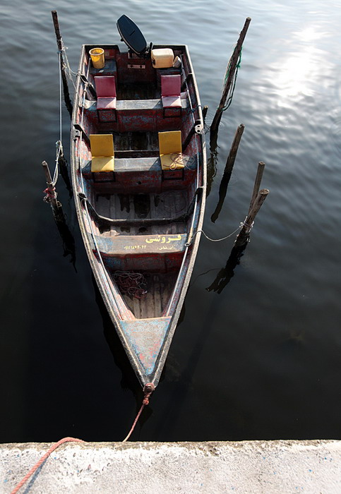  (483x700, 105Kb)