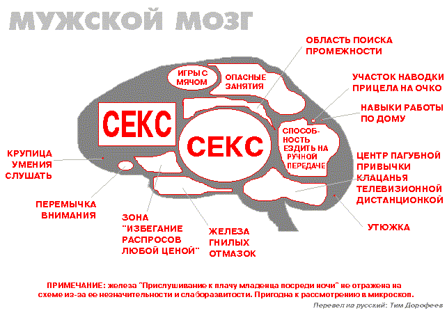  (642x447, 24Kb)