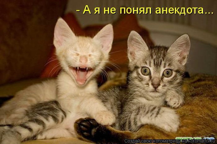  (700x465, 78Kb)