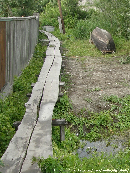 P6220152-1 (523x698, 212 Kb)