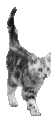  (51x116, 14Kb)