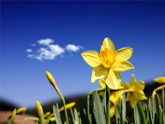 (640x480, 35Kb)