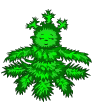  (93x102, 16Kb)