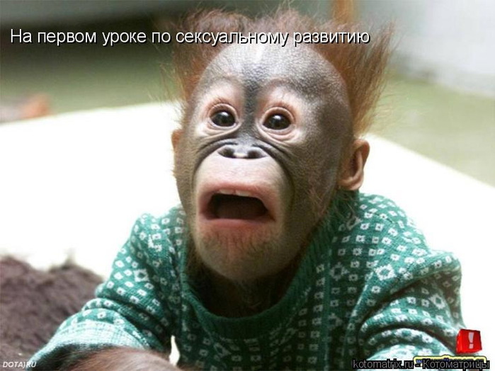  (699x524, 98Kb)