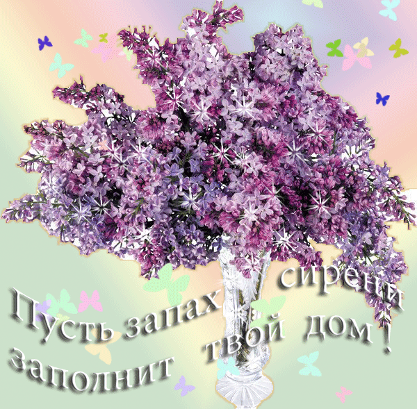 (600x589, 488Kb)