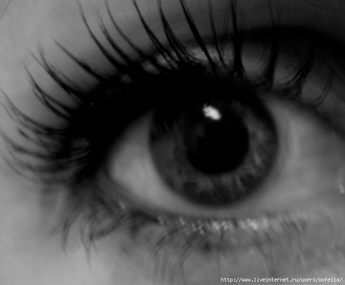  (700x579, 155Kb)