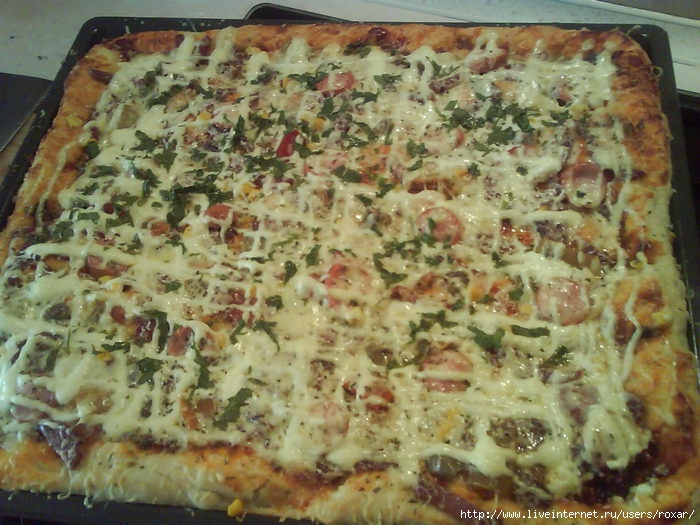 DSC01253 (700x525, 92 Kb)