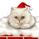  (127x127, 10Kb)